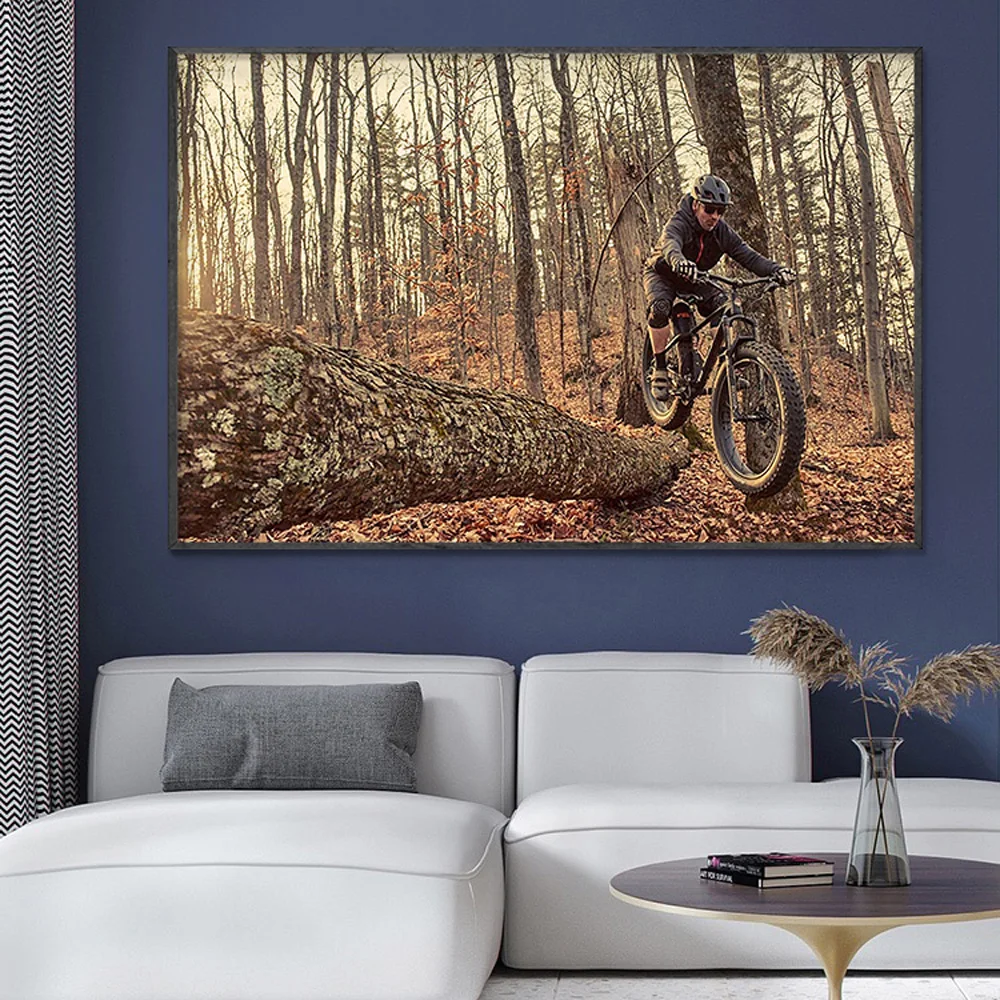 SP082 Silk Cloth Wall Poster M - Mountain Biking Movies recensione e prezzo