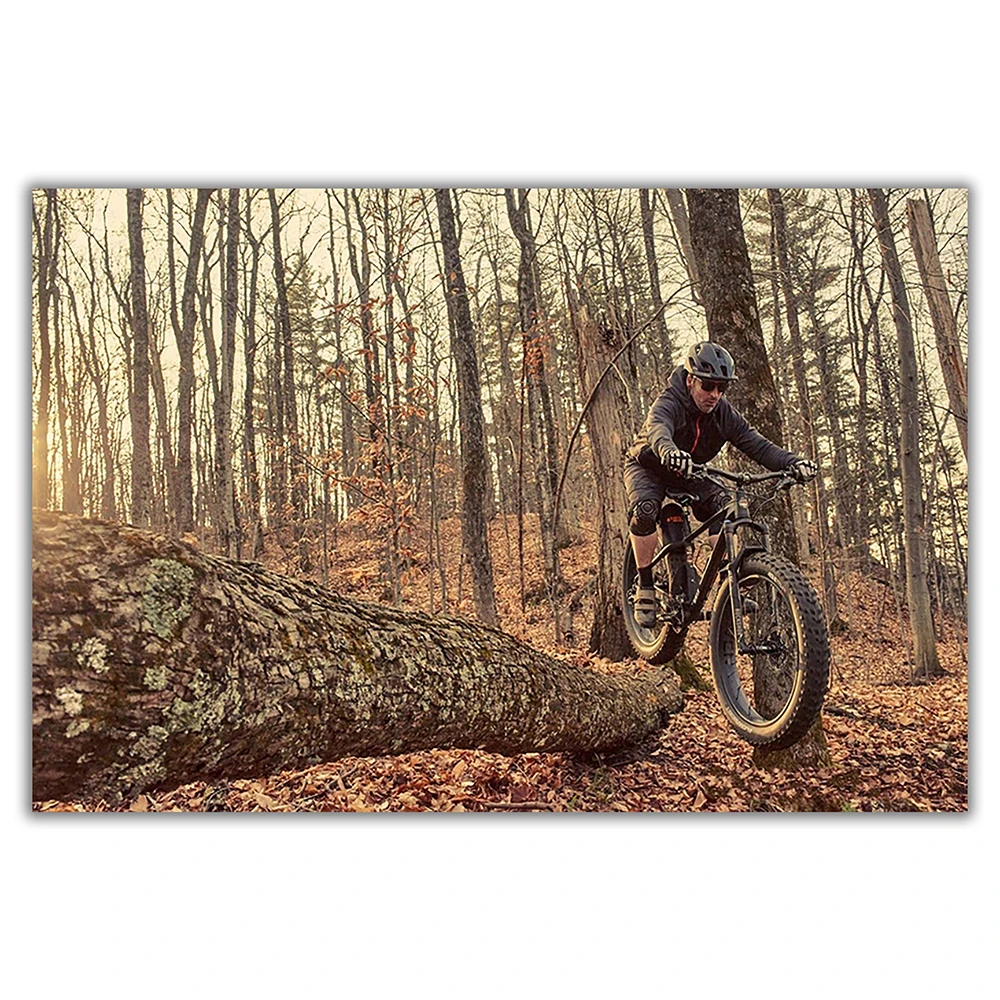 SP082 Silk Cloth Wall Poster M - Mountain Biking Movies recensione e prezzo