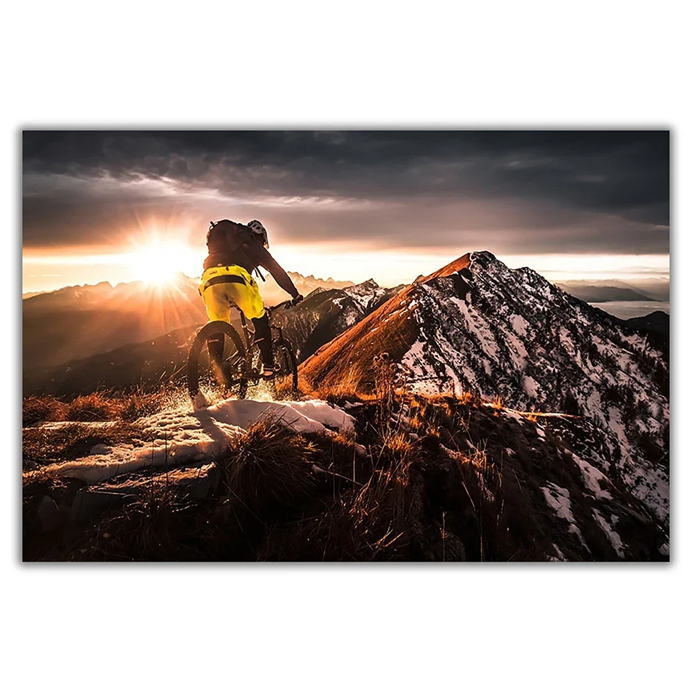 SP080 Silk Cloth Wall Poster M - Mountain Biking Movies recensione e prezzo